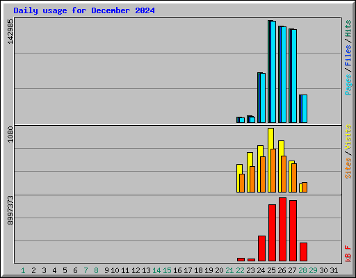 Daily usage for December 2024