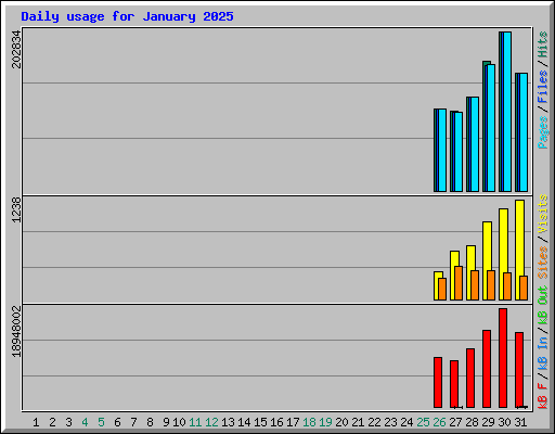 Daily usage for January 2025