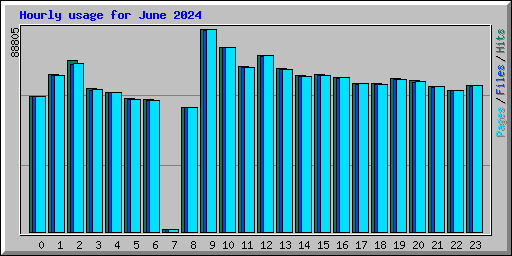 Hourly usage for June 2024