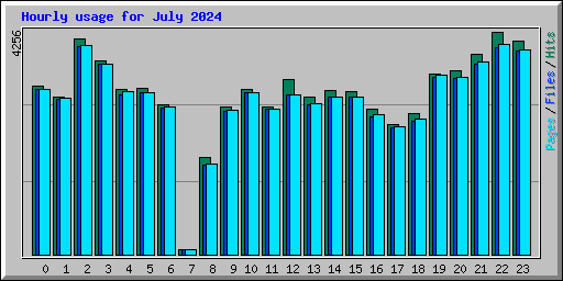 Hourly usage for July 2024