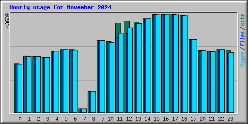 Hourly usage for November 2024