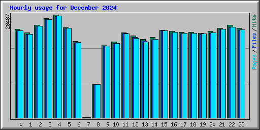 Hourly usage for December 2024