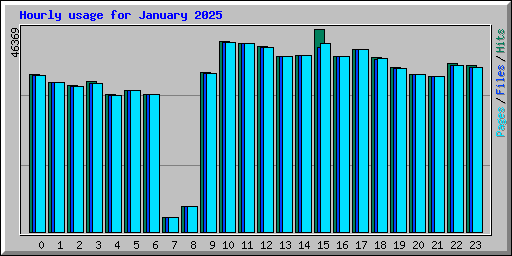 Hourly usage for January 2025