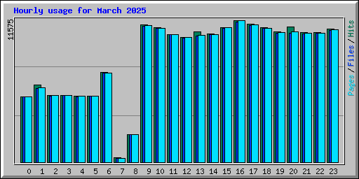 Hourly usage for March 2025
