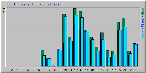 Hourly usage for August 2025