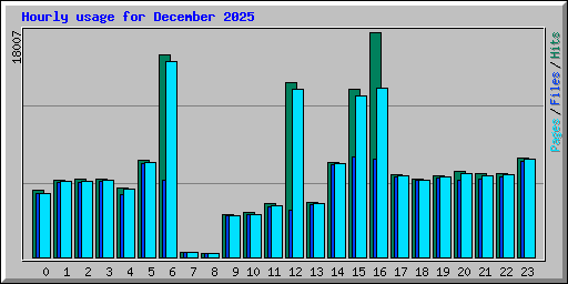 Hourly usage for December 2025