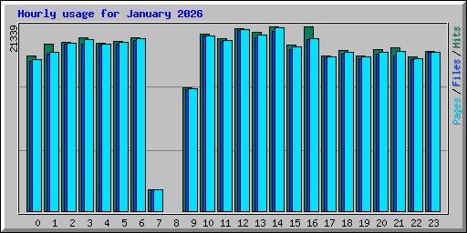 Hourly usage for January 2026