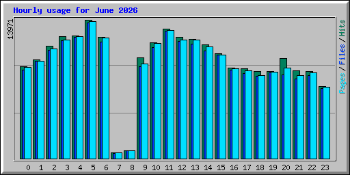 Hourly usage for June 2026