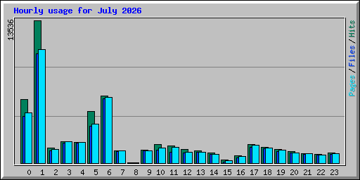 Hourly usage for July 2026